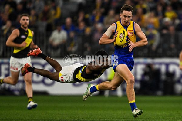 AFL 2025 Round 19 - West Coast v Richmond - A-60634922