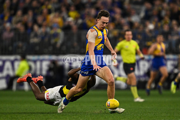 AFL 2025 Round 19 - West Coast v Richmond - A-60634923