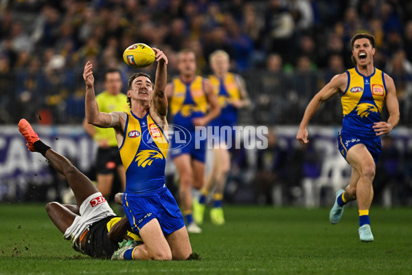 AFL 2025 Round 19 - West Coast v Richmond - A-60634924