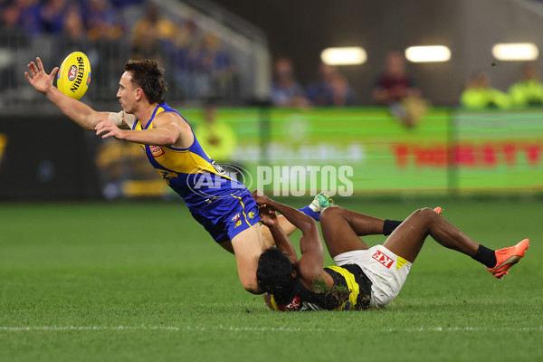 AFL 2025 Round 19 - West Coast v Richmond - A-60635590
