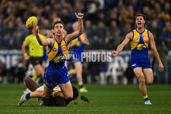 AFL 2025 Round 19 - West Coast v Richmond - A-60635599