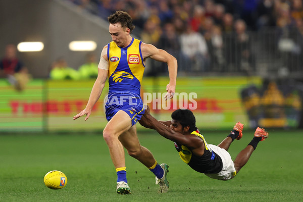 AFL 2025 Round 19 - West Coast v Richmond - A-60635604
