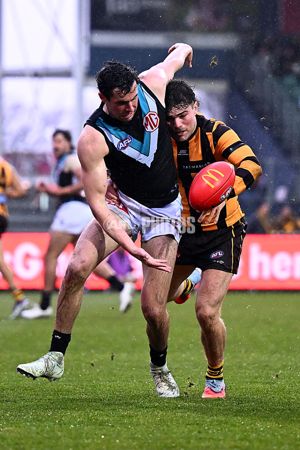 AFL 2025 Round 19 - Hawthorn v Port Adelaide - A-60637586