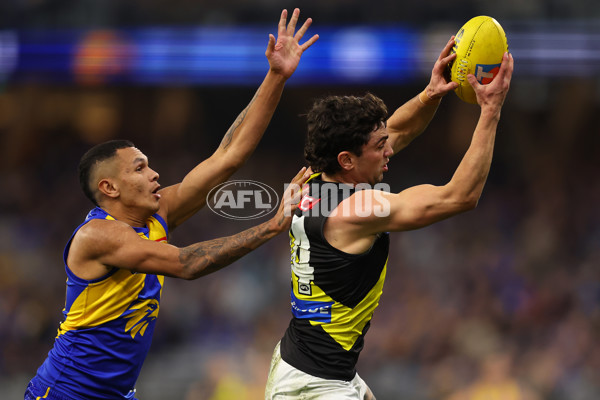 AFL 2025 Round 19 - West Coast v Richmond - A-60637587