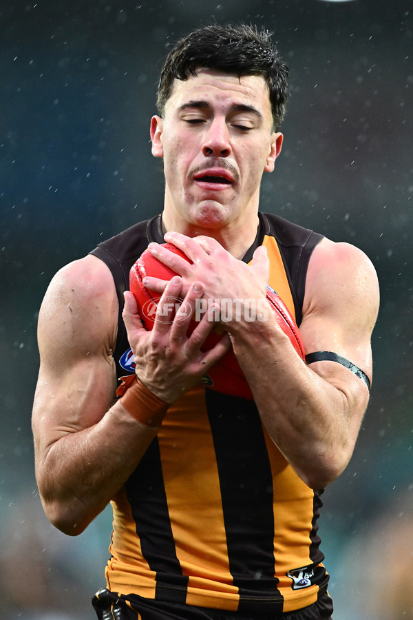 AFL 2025 Round 19 - Hawthorn v Port Adelaide - A-60637607