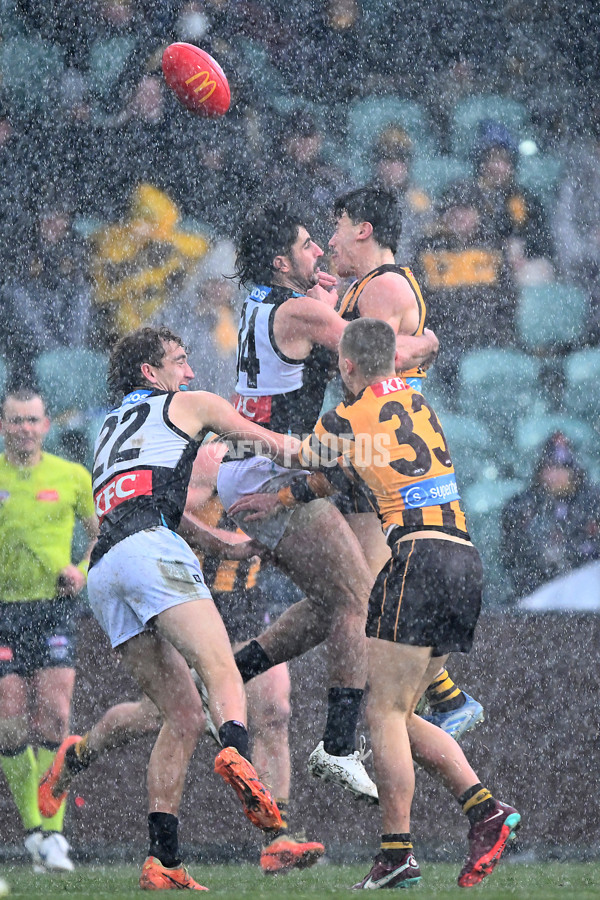 AFL 2025 Round 19 - Hawthorn v Port Adelaide - A-60637608