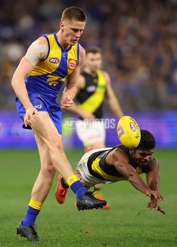 AFL 2025 Round 19 - West Coast v Richmond - A-60637630
