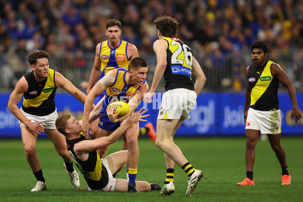 AFL 2025 Round 19 - West Coast v Richmond - A-60637637