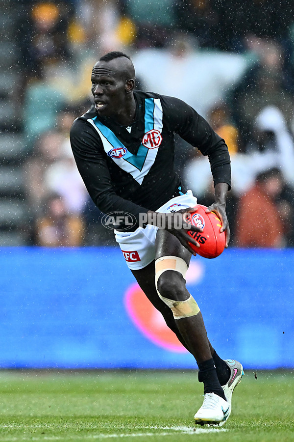 AFL 2025 Round 19 - Hawthorn v Port Adelaide - A-60637668