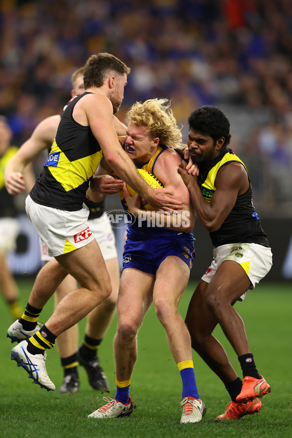 AFL 2025 Round 19 - West Coast v Richmond - A-60638485