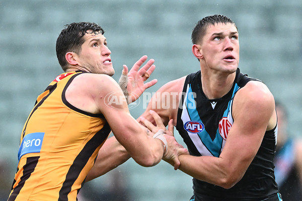 AFL 2025 Round 19 - Hawthorn v Port Adelaide - A-60638488