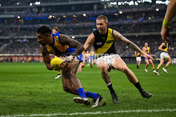 AFL 2025 Round 19 - West Coast v Richmond - A-60638529