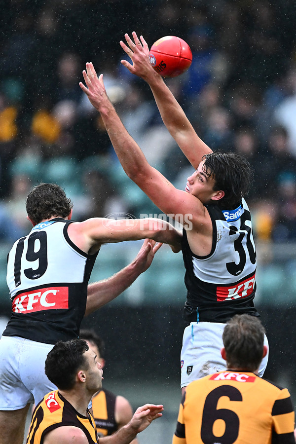AFL 2025 Round 19 - Hawthorn v Port Adelaide - A-60638542