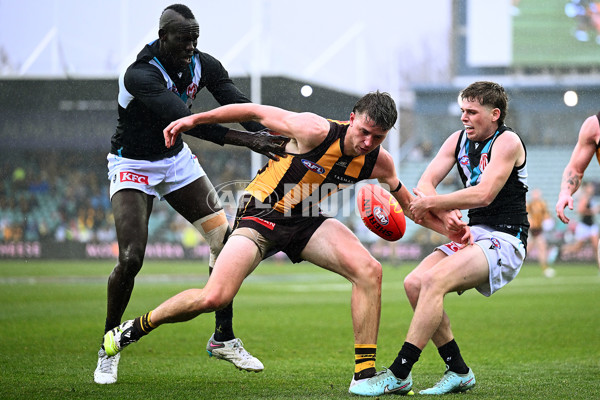 AFL 2025 Round 19 - Hawthorn v Port Adelaide - A-60638544
