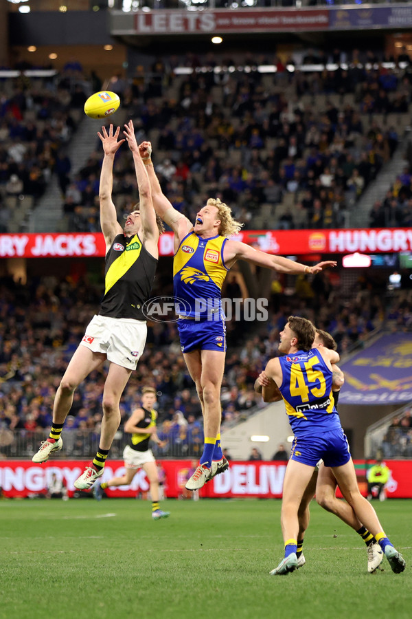 AFL 2025 Round 19 - West Coast v Richmond - A-60643734