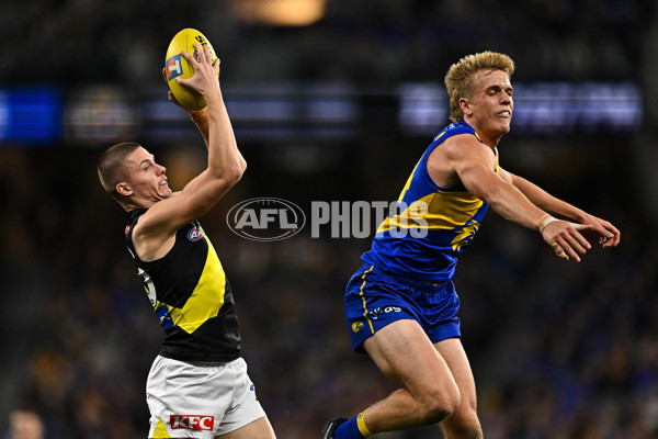 AFL 2025 Round 19 - West Coast v Richmond - A-60644246