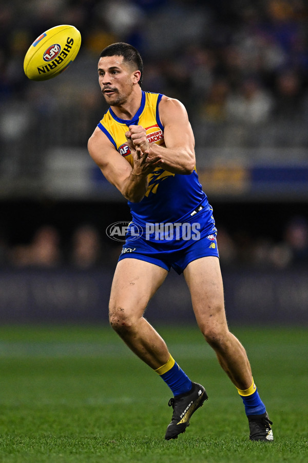 AFL 2025 Round 19 - West Coast v Richmond - A-60646774