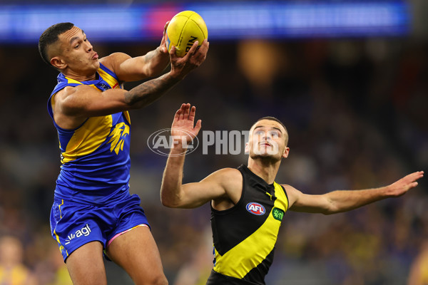 AFL 2025 Round 19 - West Coast v Richmond - A-60646787