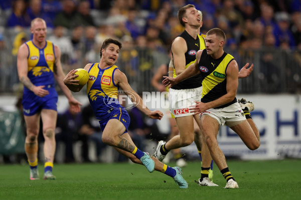 AFL 2025 Round 19 - West Coast v Richmond - A-60646850