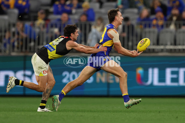 AFL 2025 Round 19 - West Coast v Richmond - A-60647062