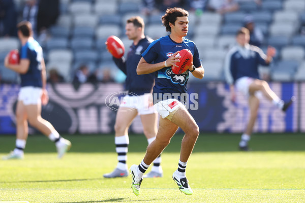 AFL 2025 Round 19 - Geelong v St Kilda - A-60649590
