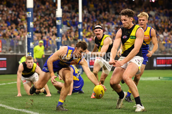 AFL 2025 Round 19 - West Coast v Richmond - A-60649694