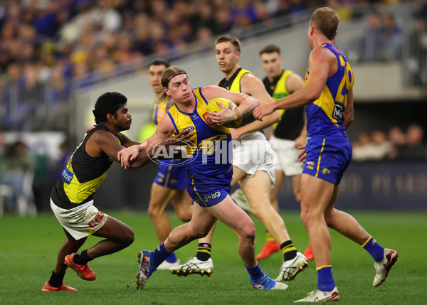 AFL 2025 Round 19 - West Coast v Richmond - A-60649703