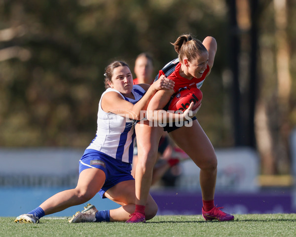 VFLW 2025 Round 13 - Casey Demons v North Melbourne - A-60649764