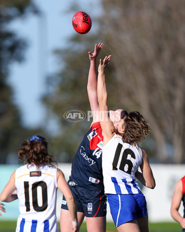 VFLW 2025 Round 13 - Casey Demons v North Melbourne - A-60649790