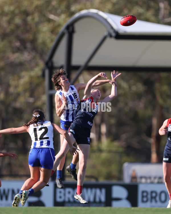 VFLW 2025 Round 13 - Casey Demons v North Melbourne - A-60649791