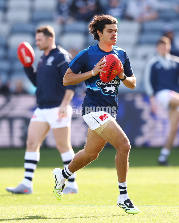 AFL 2025 Round 19 - Geelong v St Kilda - A-60652224