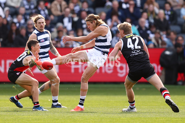 AFL 2025 Round 19 - Geelong v St Kilda - A-60652260