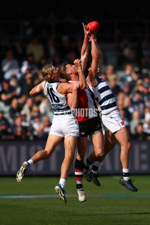 AFL 2025 Round 19 - Geelong v St Kilda - A-60652296