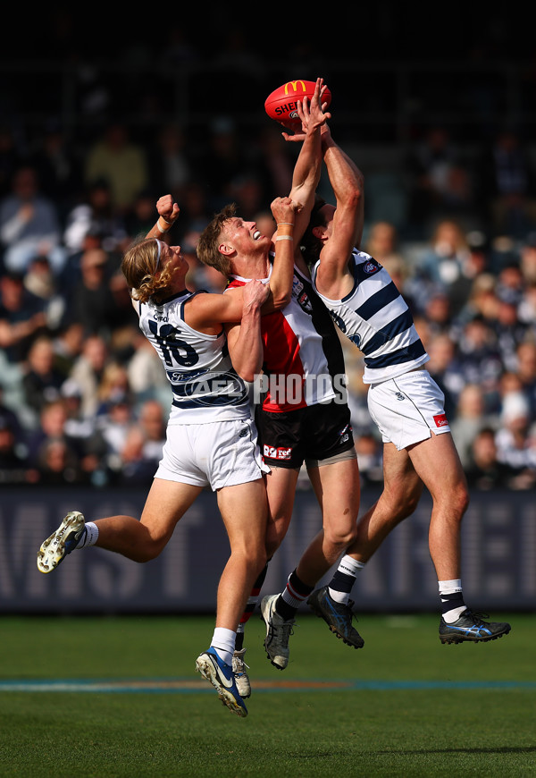 AFL 2025 Round 19 - Geelong v St Kilda - A-60652300