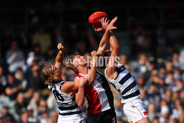 AFL 2025 Round 19 - Geelong v St Kilda - A-60652301