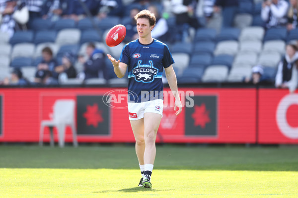 AFL 2025 Round 19 - Geelong v St Kilda - A-60652726