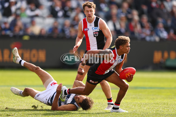 AFL 2025 Round 19 - Geelong v St Kilda - A-60652798