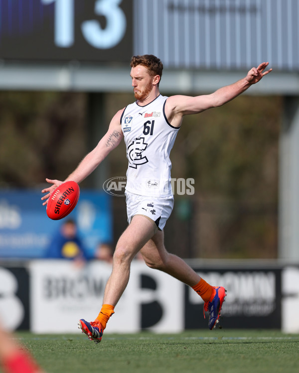 VFL 2025 Round 17 - Casey Demons v Carlton - A-60652803