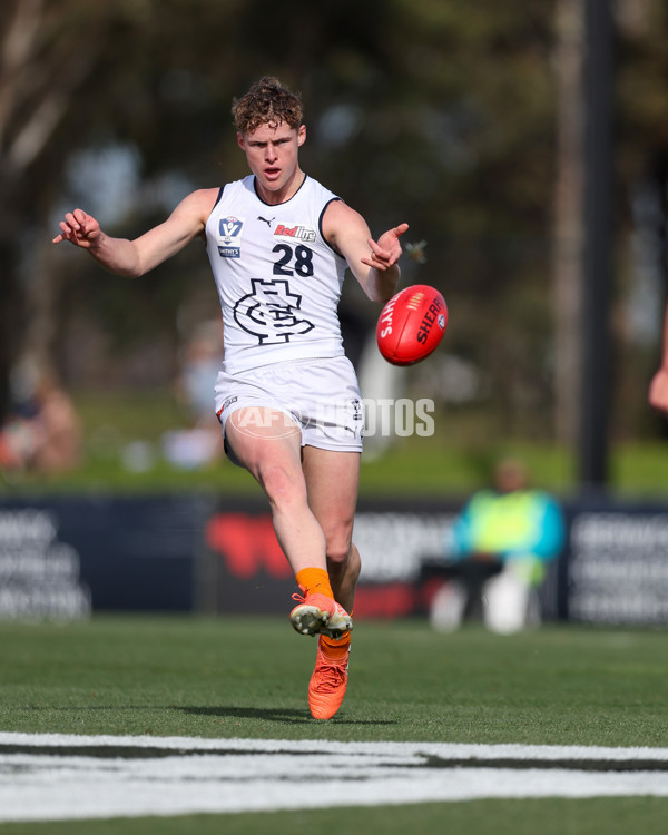 VFL 2025 Round 17 - Casey Demons v Carlton - A-60652807