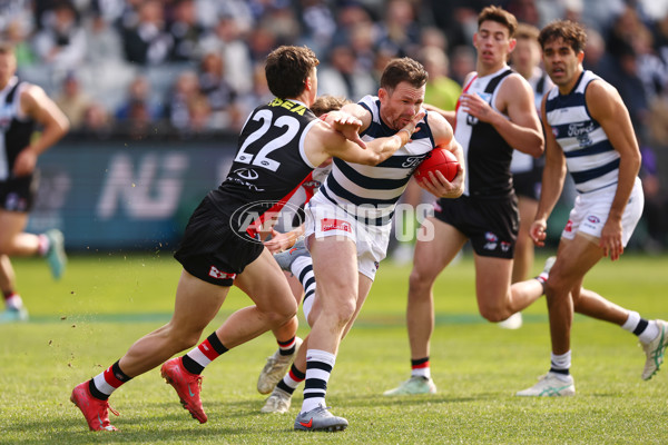 AFL 2025 Round 19 - Geelong v St Kilda - A-60655150