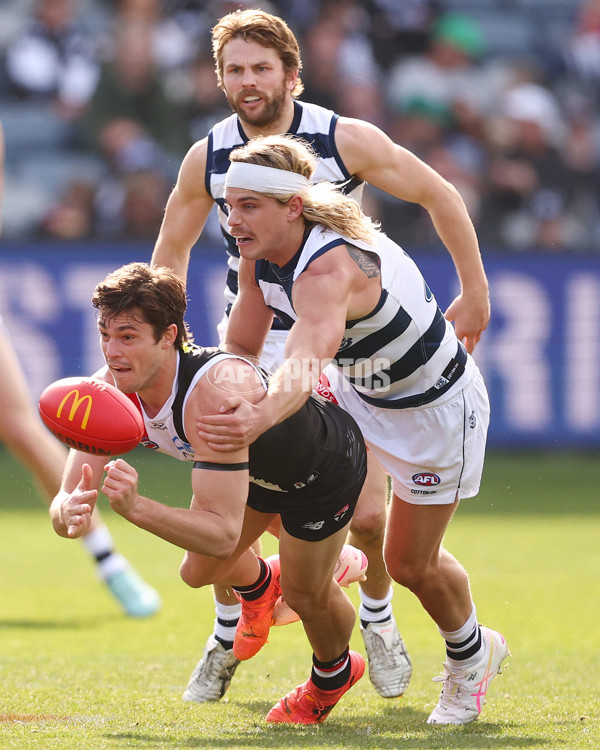 AFL 2025 Round 19 - Geelong v St Kilda - A-60655192