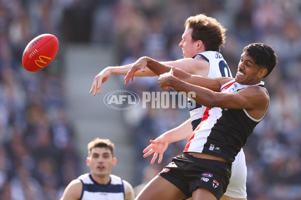 AFL 2025 Round 19 - Geelong v St Kilda - A-60655194