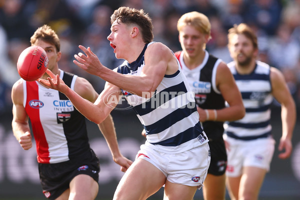 AFL 2025 Round 19 - Geelong v St Kilda - A-60655197
