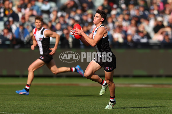 AFL 2025 Round 19 - Geelong v St Kilda - A-60655761