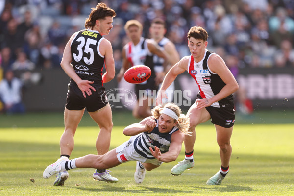AFL 2025 Round 19 - Geelong v St Kilda - A-60655796