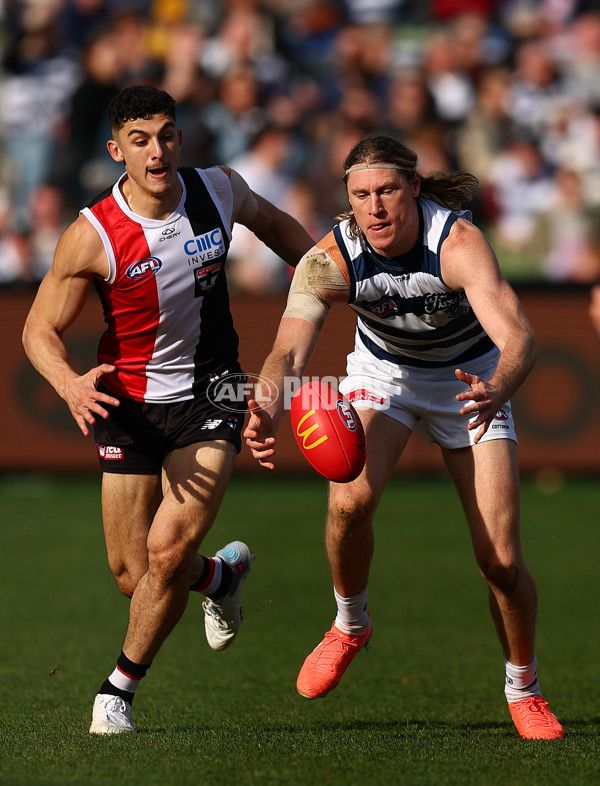 AFL 2025 Round 19 - Geelong v St Kilda - A-60655834