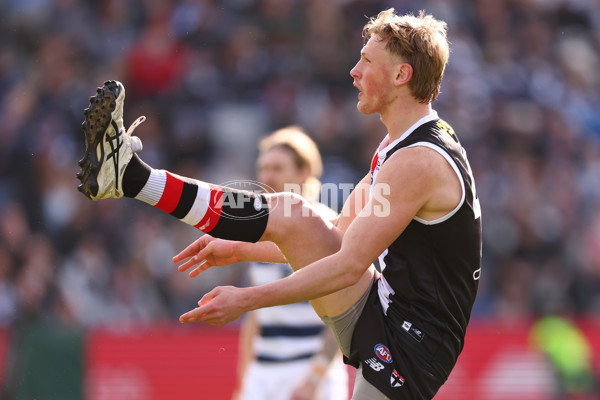 AFL 2025 Round 19 - Geelong v St Kilda - A-60658078