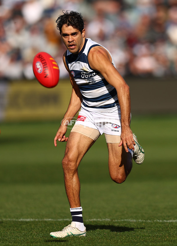 AFL 2025 Round 19 - Geelong v St Kilda - A-60658088