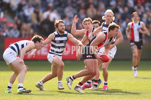 AFL 2025 Round 19 - Geelong v St Kilda - A-60658096