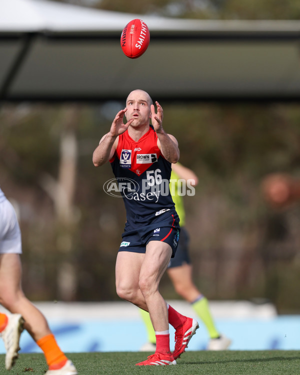 VFL 2025 Round 17 - Casey Demons v Carlton - A-60658097
